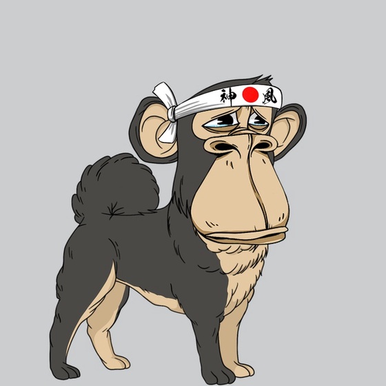 Kennel Ape #6505