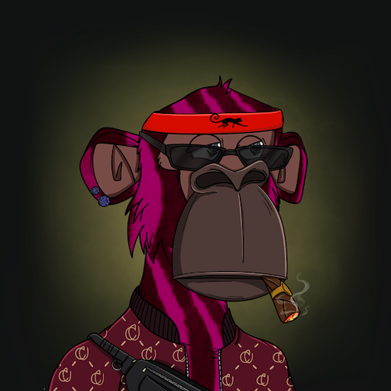 Elite Ape #4655