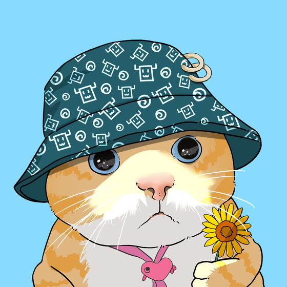 Puzzled cat #4491