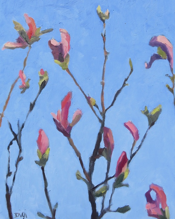 Blue Sky Magnolia II 