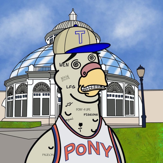 Pigeon #506