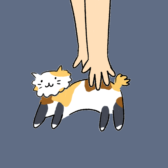 #5014 Hashimoto Cat