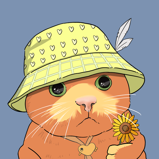 Puzzled cat #7794