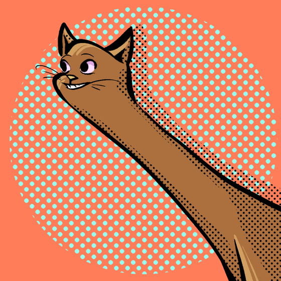 LoooongKitty#2968