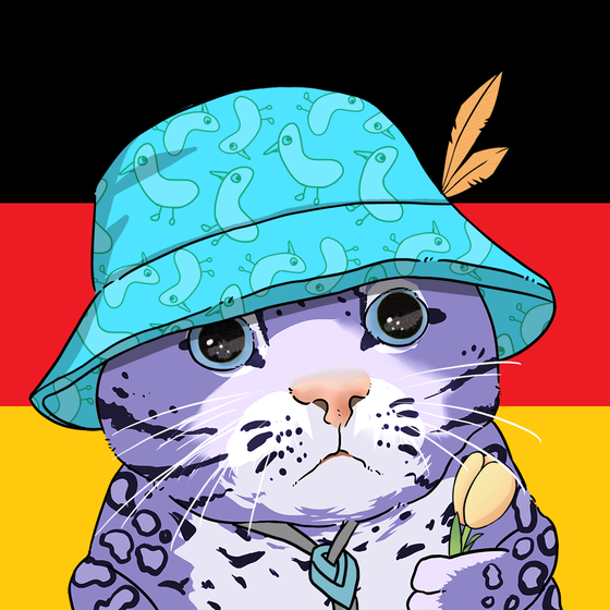 Puzzled cat #3413