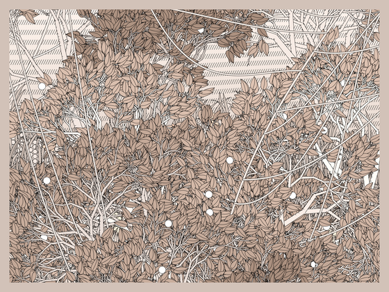 Entangled #15