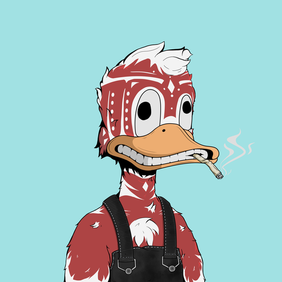 Down Market Ducks #5900