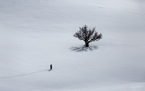 White Infinity