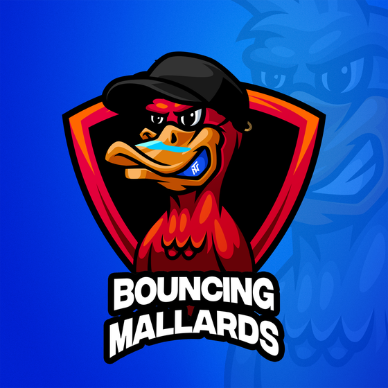 Bouncing Mallards