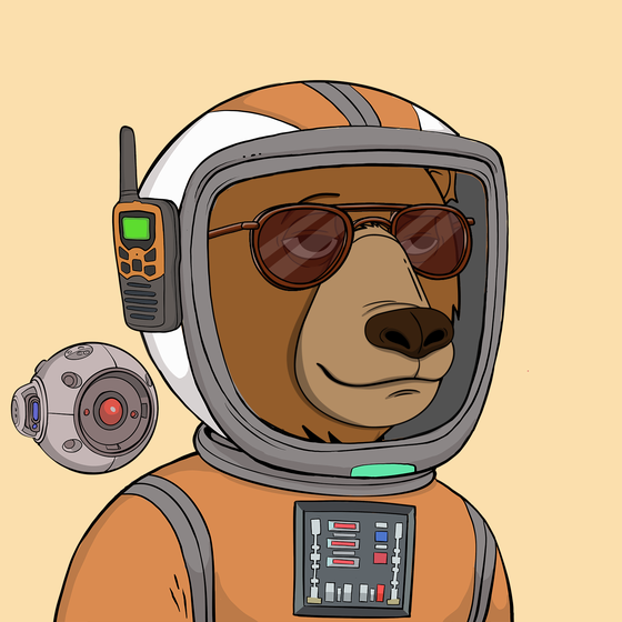 Okay Space Bear #4624