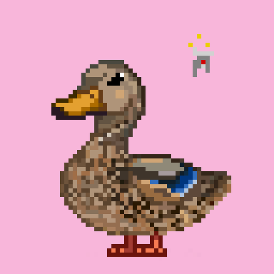 Mallard #5624