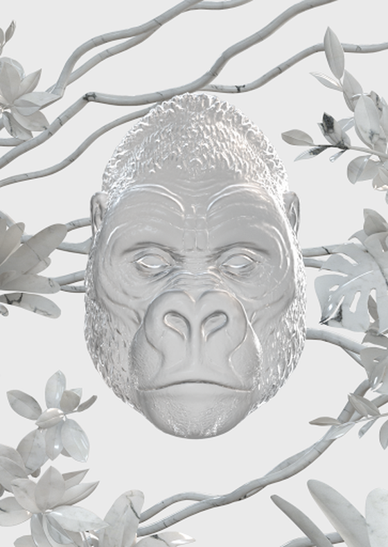 Ape #14