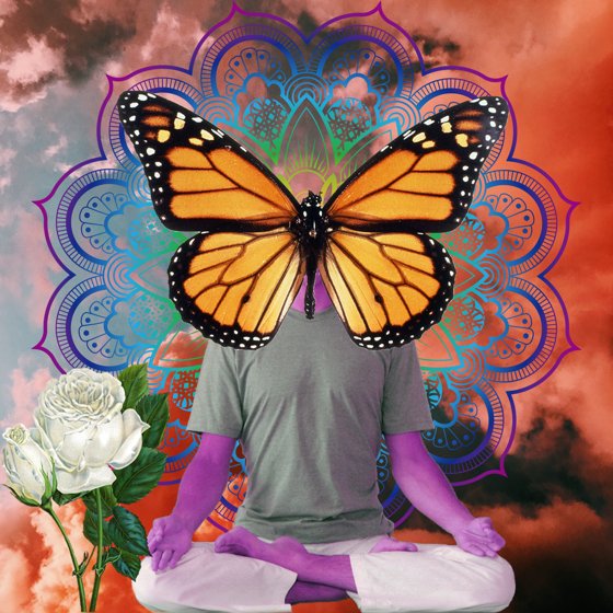 Guru #258