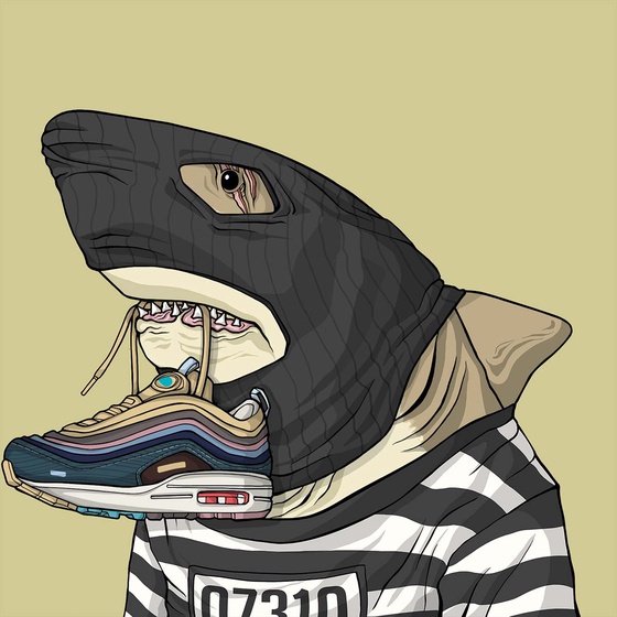 Outlaw Shark #1242
