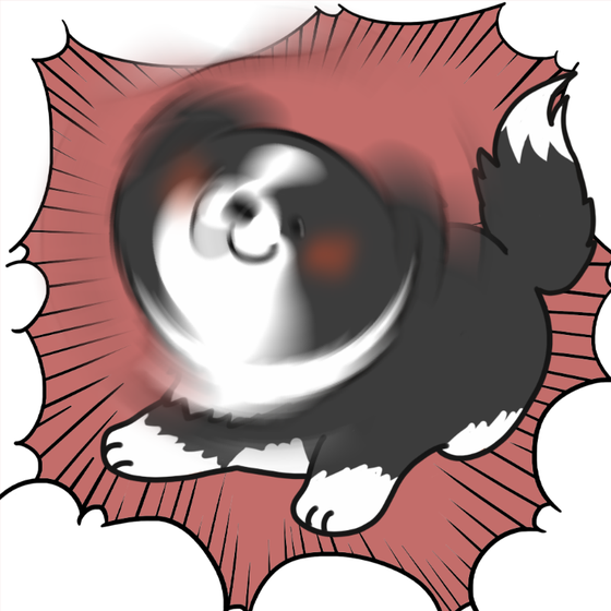 DogDrill#1200