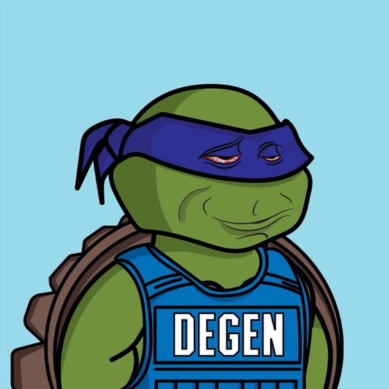 Degen Ninja Turtle #4776