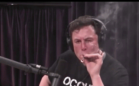 HIGH ELON