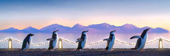 Five Penguins #2423