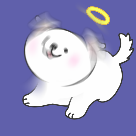 DogDrill#652