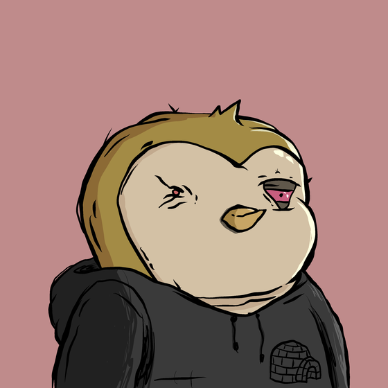 PudgyTown Penguin #2325