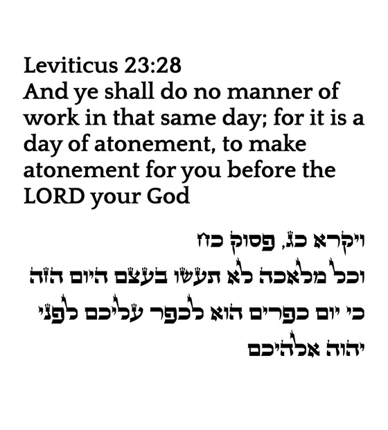 Leviticus 23:28