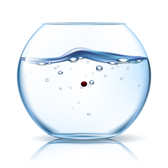 Marimo #6603