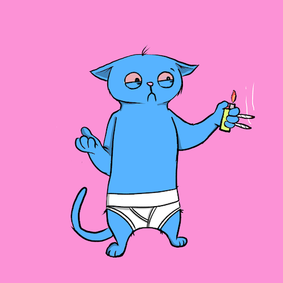 Blazed Cat #6949