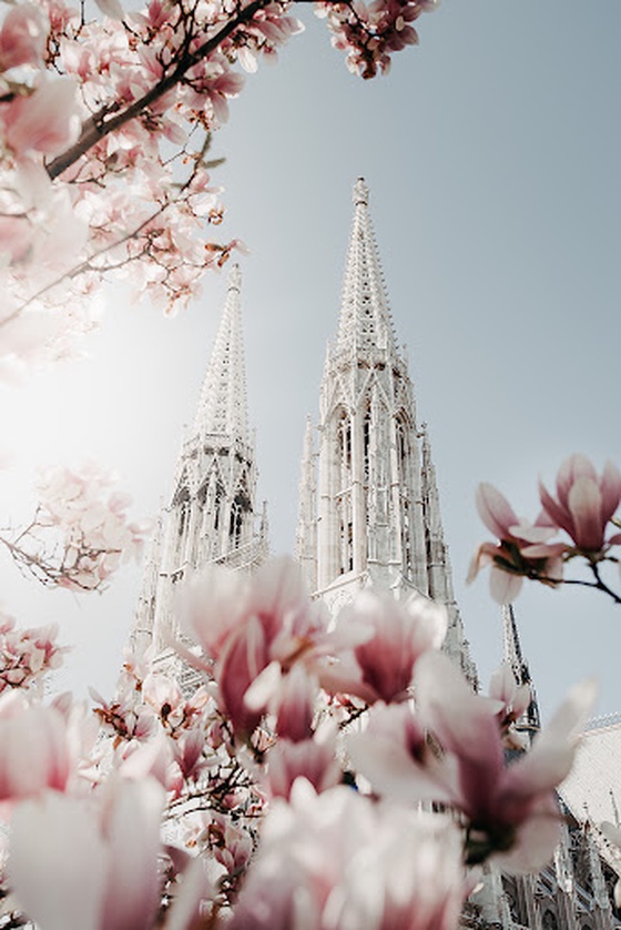 Spring in Vienna