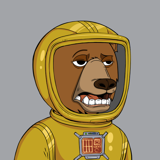 Okay Space Bear #4381