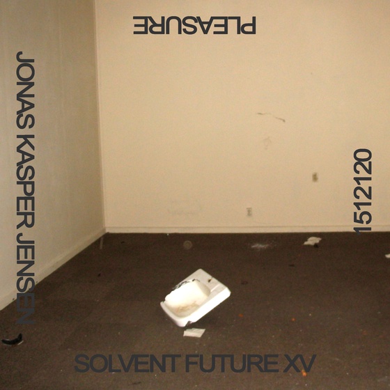 SOLVENT FUTURE XV