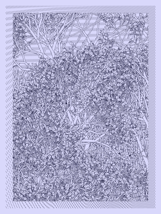 Entangled #163