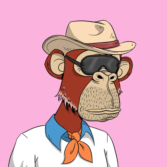 Elderly Ape #838