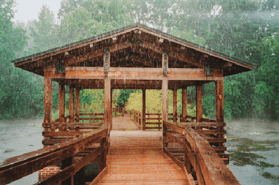 Shelter from the Storm