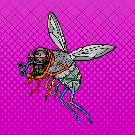 Funky Fly #4997