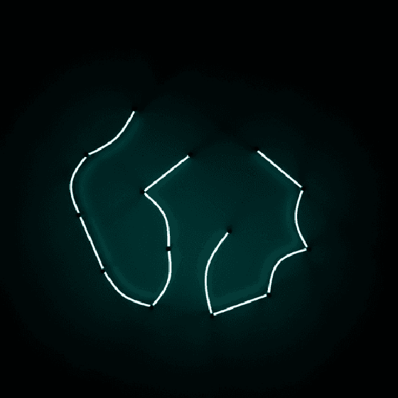 Neon Light #0511