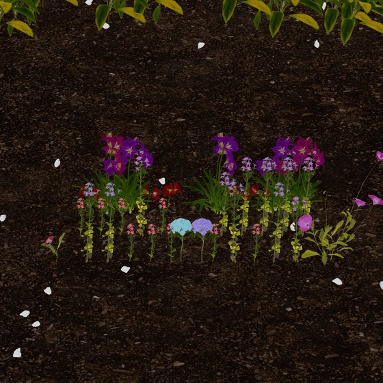 seanconte.eth's Token Garden