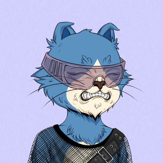 Angry Cat #4992