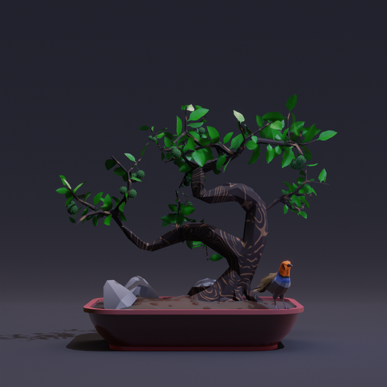 Bonsai #8556