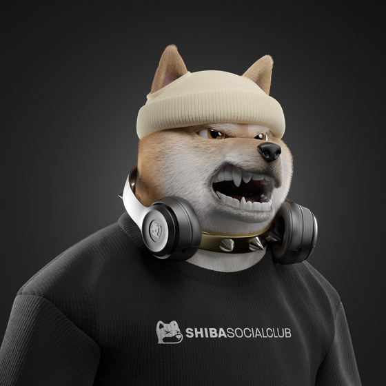 Shiba #2885