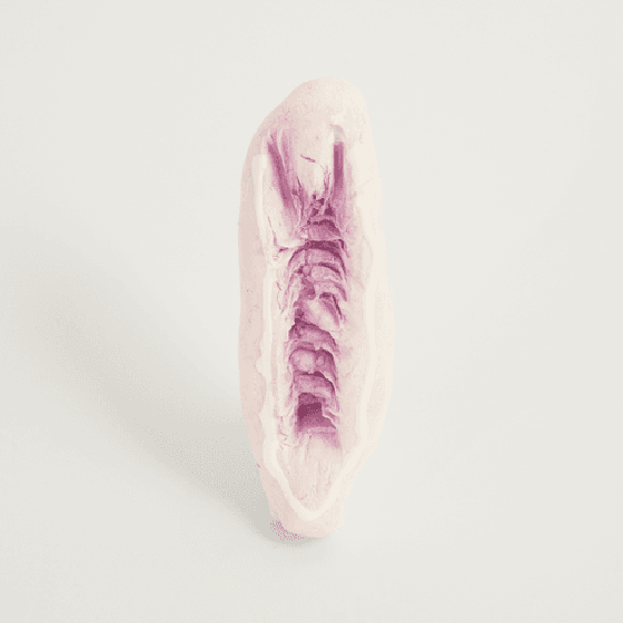 Vagina NFT #029