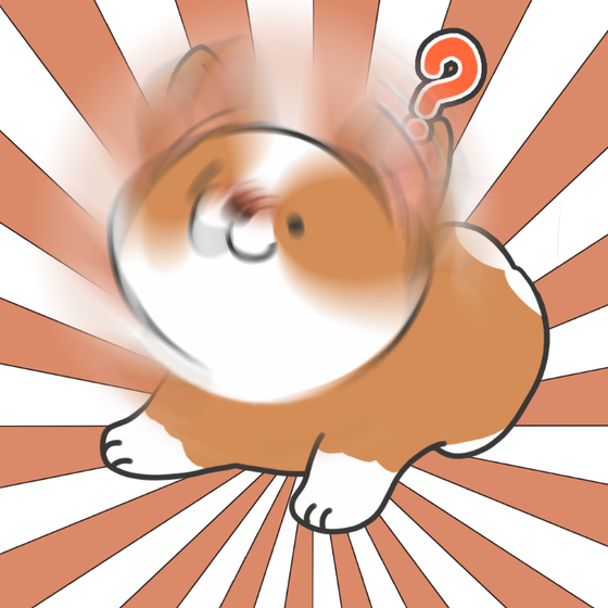 DogDrill#100