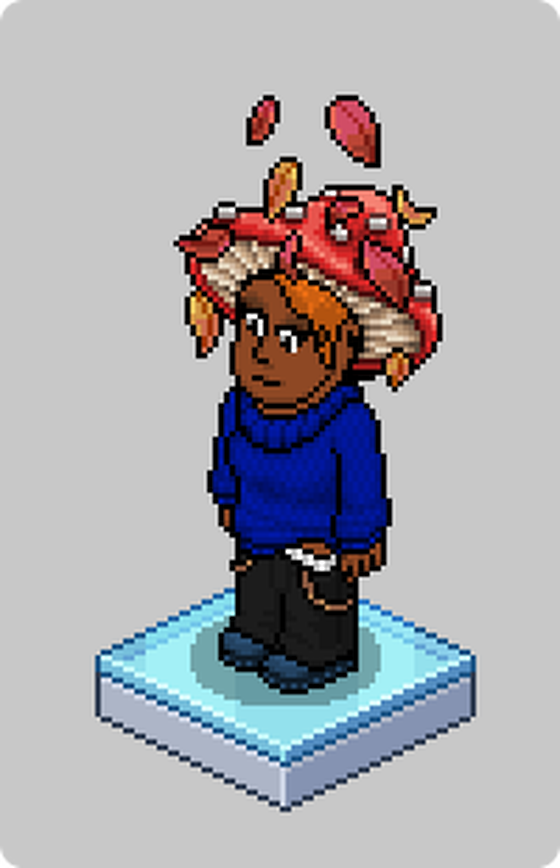 Habbo #10027