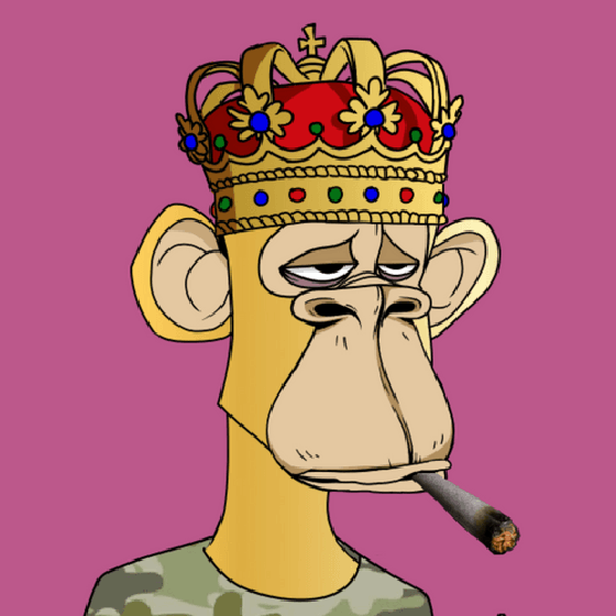 APE #28