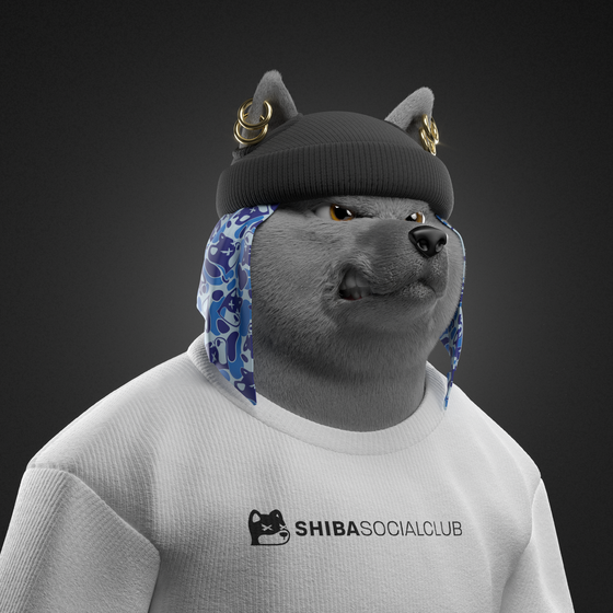 Shiba #3836