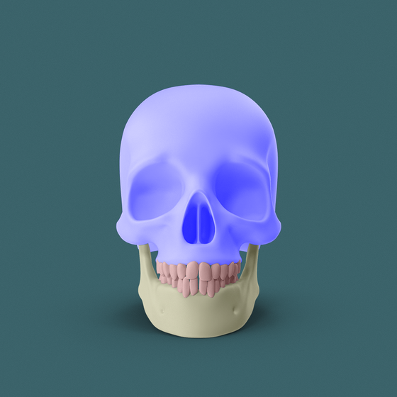 Skull #739