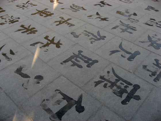 Beijing Pictographs by Judy Mam 