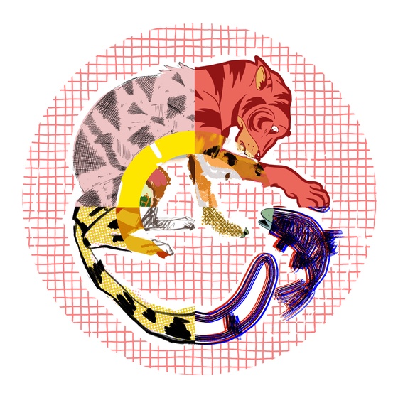 The Tiger & The Fish #472