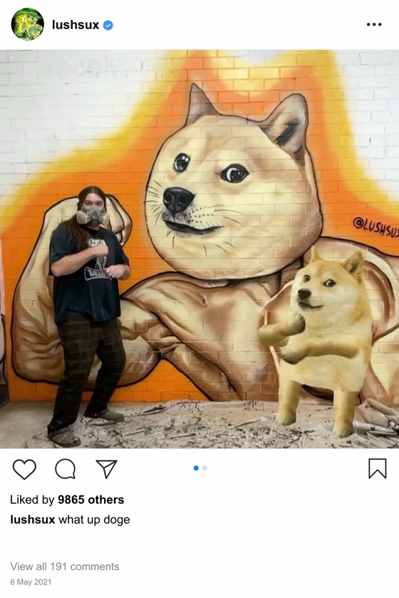 Lushsux #4322 - Shit Post Doge