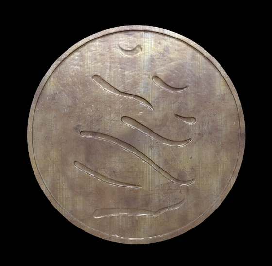 MS TOKEN - Bronze Medallion