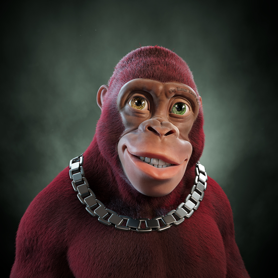 Alpha Kong #5256